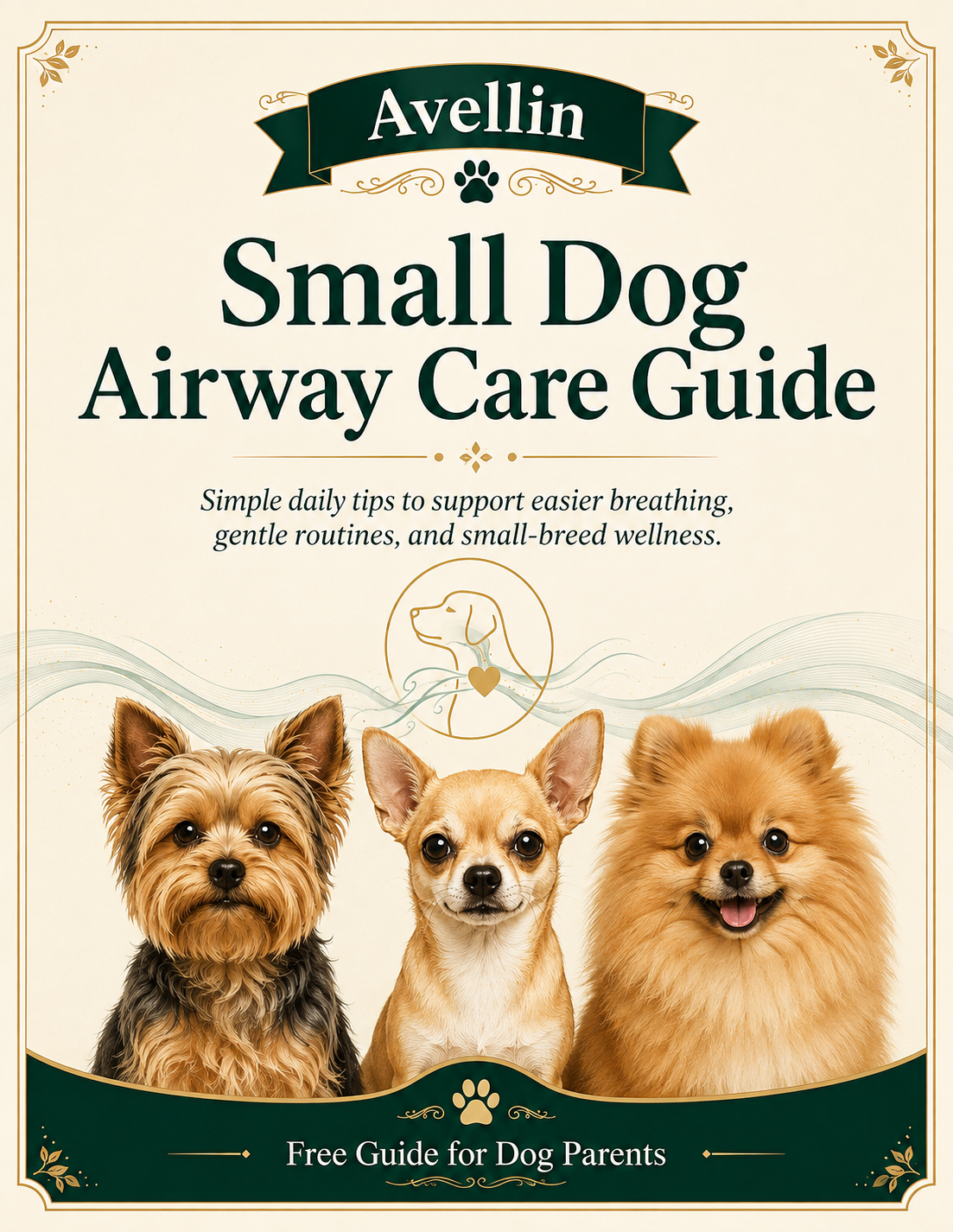 Small Dog Airway Care Guide