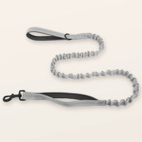 SafeWalk® Shock-Absorbing Bungee Leash