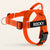 SafeWalk® No-Pull Dog Harness