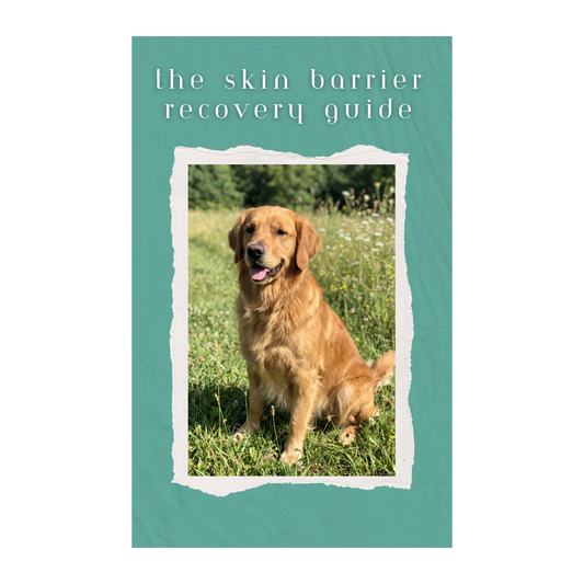 The Skin Barrier Recovery Guide