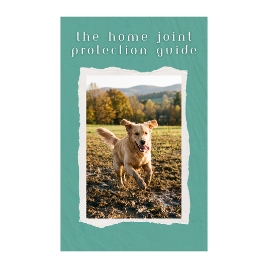 The Home Joint Protection Guide