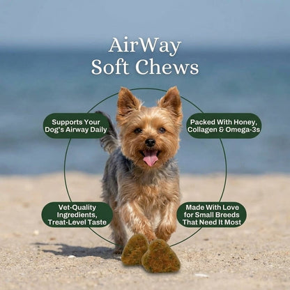 Airway Support Soft Chews for Small Breeds