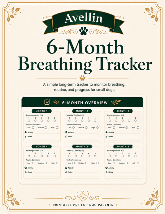6-Month Breathing Tracker
