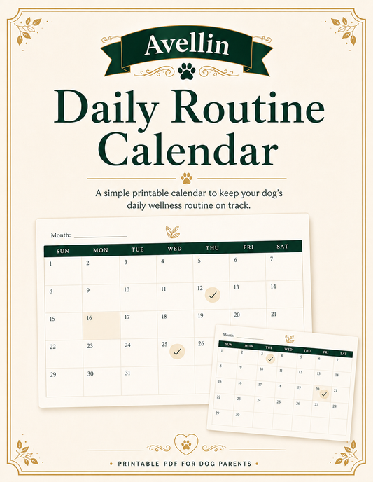 Daily Routine Calendar