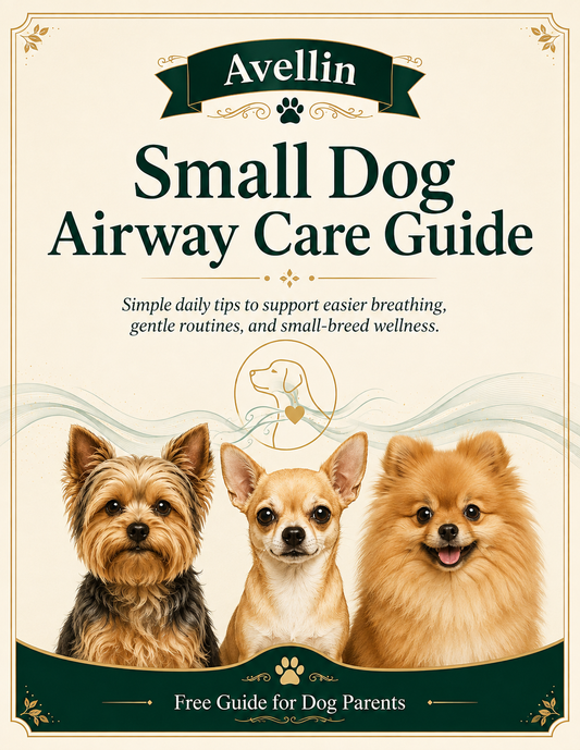 Small Dog Airway Care Guide