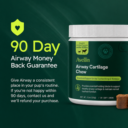 Airway Cartillage Chew