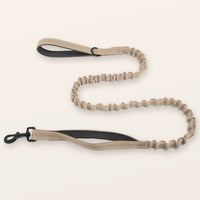 SafeWalk® Shock-Absorbing Bungee Leash