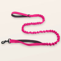 SafeWalk® Shock-Absorbing Bungee Leash