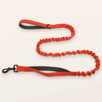 SafeWalk® Shock-Absorbing Bungee Leash