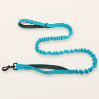 SafeWalk® Shock-Absorbing Bungee Leash