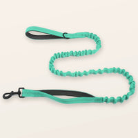 SafeWalk® Shock-Absorbing Bungee Leash