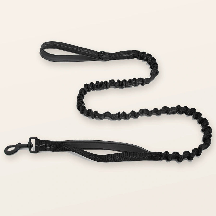 SafeWalk® Shock-Absorbing Bungee Leash