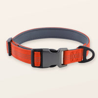 SafeWalk® Padded Collar