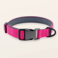 SafeWalk® Padded Collar