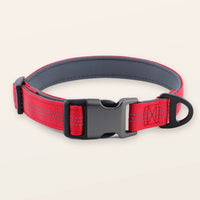 SafeWalk® Padded Collar