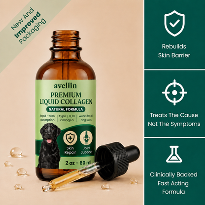Premium Liquid Collagen