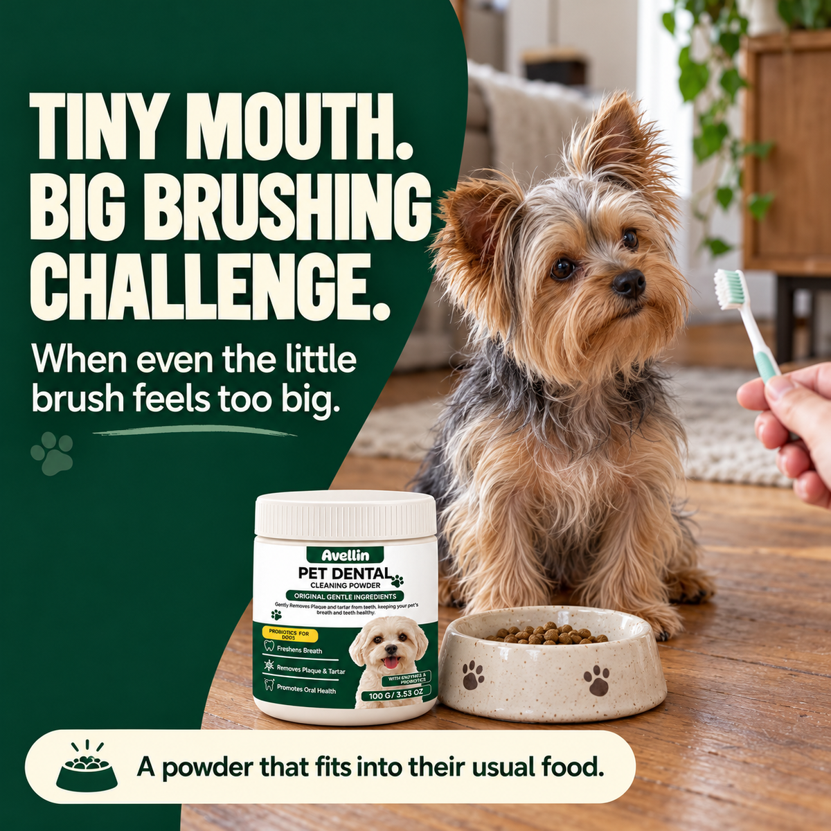 Yorkshire Terrier beside a toothbrush, food bowl and Avellin Dental Powder