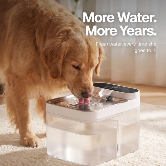 More water, more years