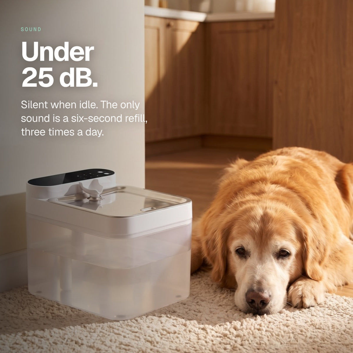 Under 25 decibels