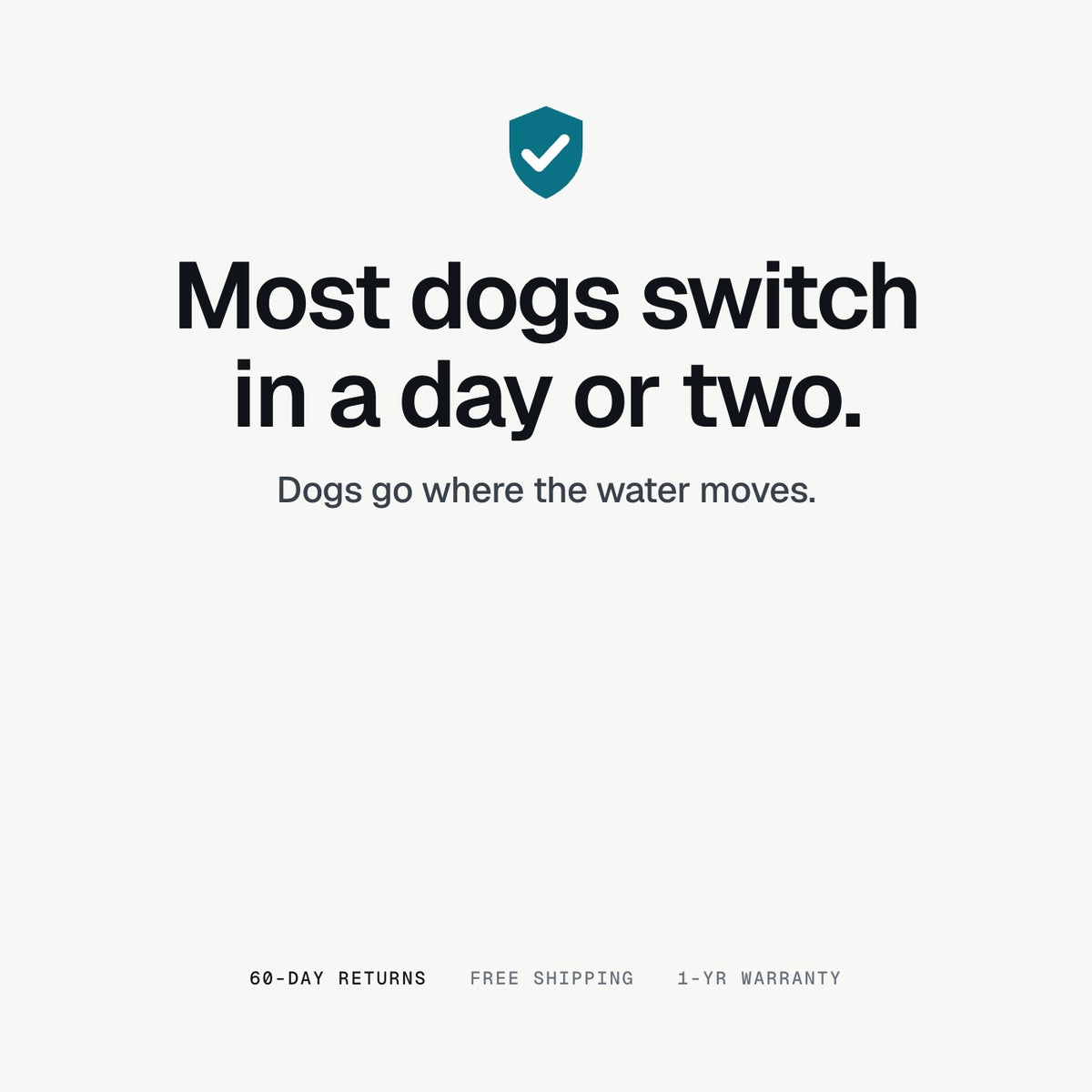 Most dogs switch in a day or two