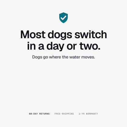 Most dogs switch in a day or two