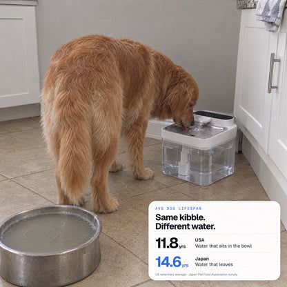 Dog lifespan, USA 11.8 vs Japan 14.6